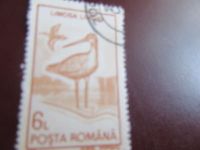 ROMANIA BIRDS - P18