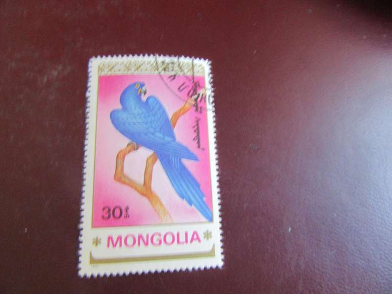 MONGOLIA BIRDS- P19