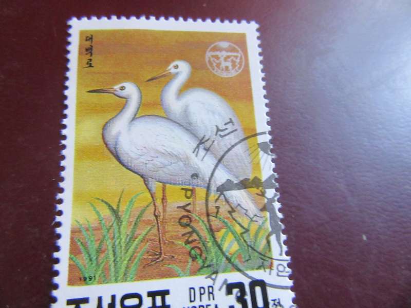 KOREA BIRDS - P20