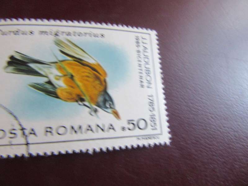 ROMANIA BIRDS  -P21