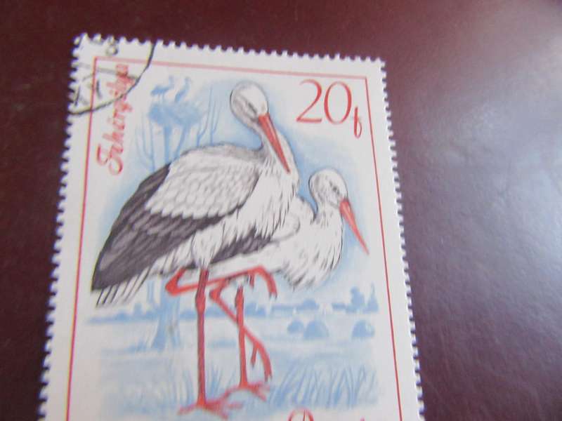 HUNGARY BIRS -P20