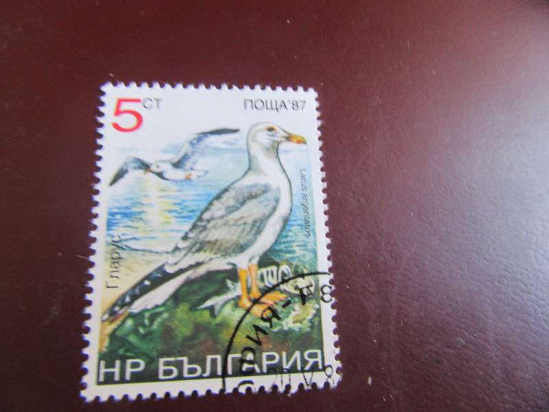 RUSSIA BIRDS- P21