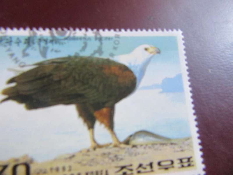 KOREA BIRDS - P21