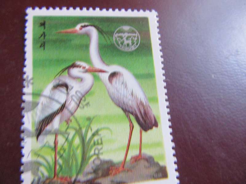 KOREA BIRDS - P21