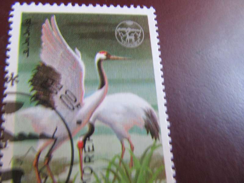 KOREA BIRDS  P21