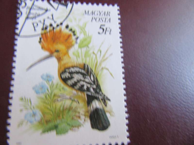 HUNGARY BIRDS - P22
