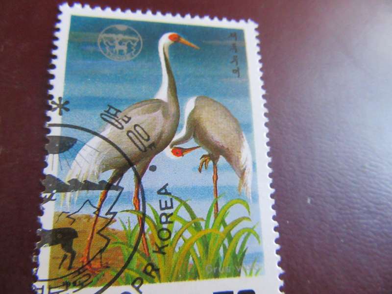 KOREA BIRDS - P22