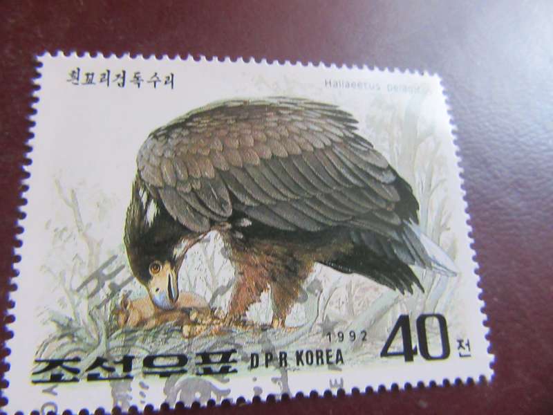 KOREA BIRDS - P22