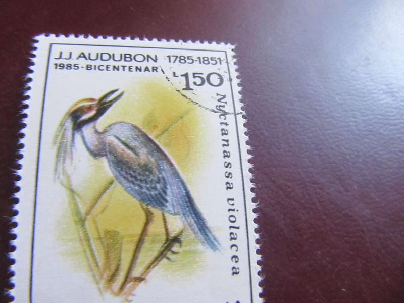 ROMANIA BIRDS - P22