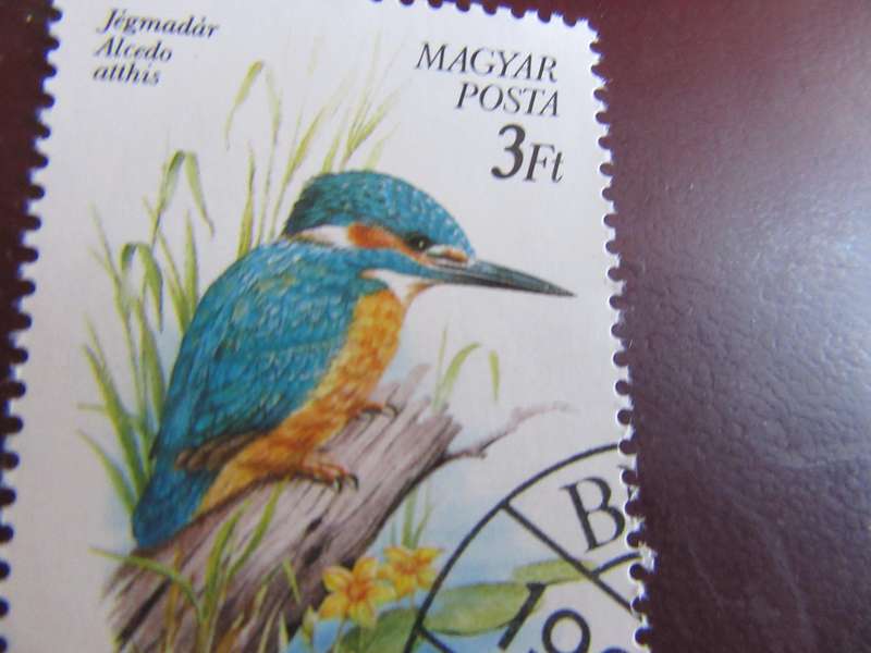 HUNGARY BIRDS - P23