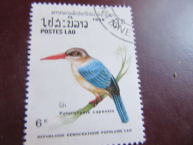 LAOS BIRDS - P23