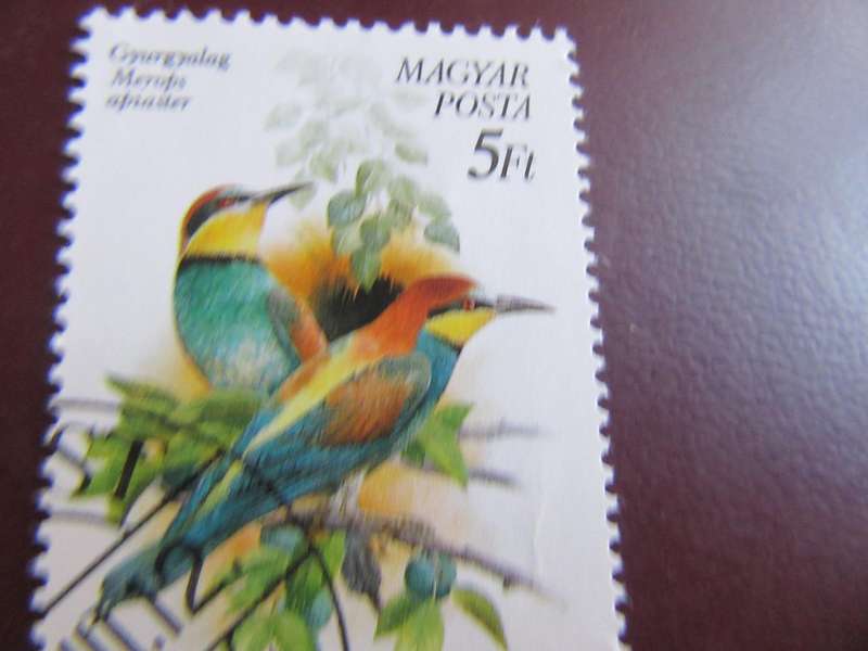 HUNGARY BIRDS - P23
