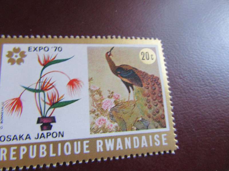 RUANDA BIRDS - P24
