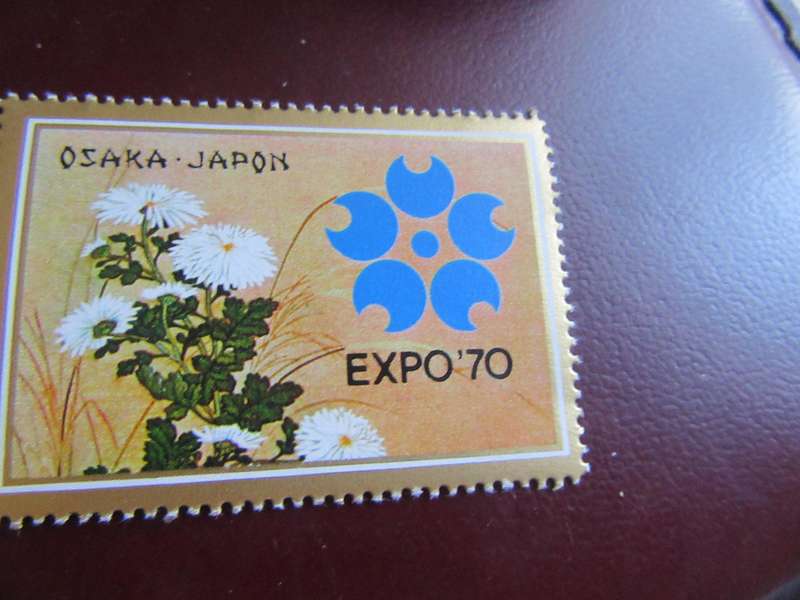 JAPAN FLOWERS - P24