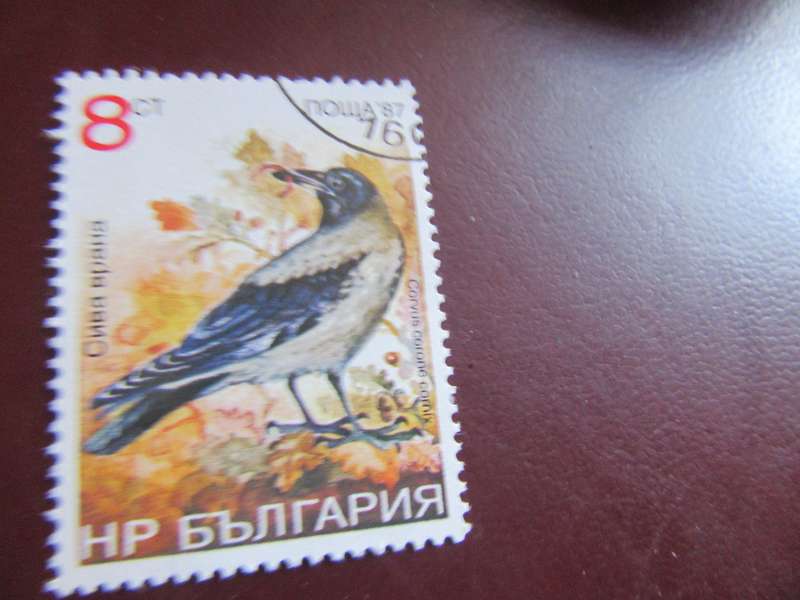 RUSSIA BIRDS -P24