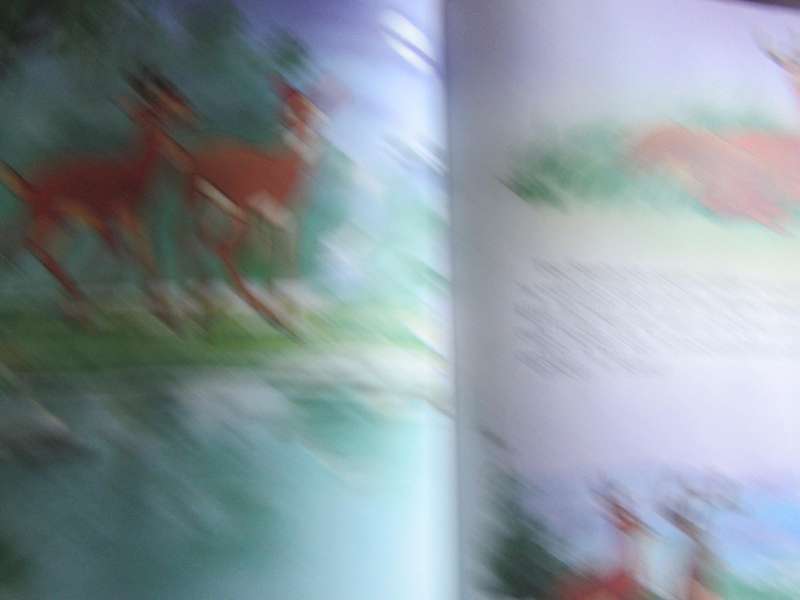 DISNEY - BAMBI - AFRIKAANS - MD