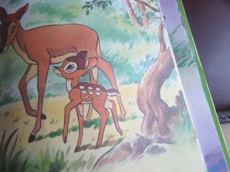 DISNEY - BAMBI - AFRIKAANS - MD