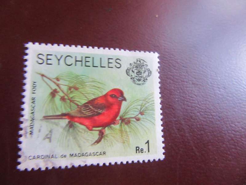 SEYCHELLES - BIRDS - P10