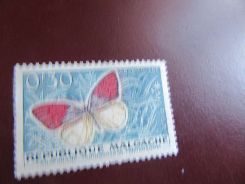 MADAGASCAR - BUTTERFLIES - P10