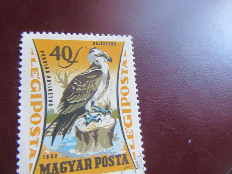 HUNGARY - BIRDS -P10