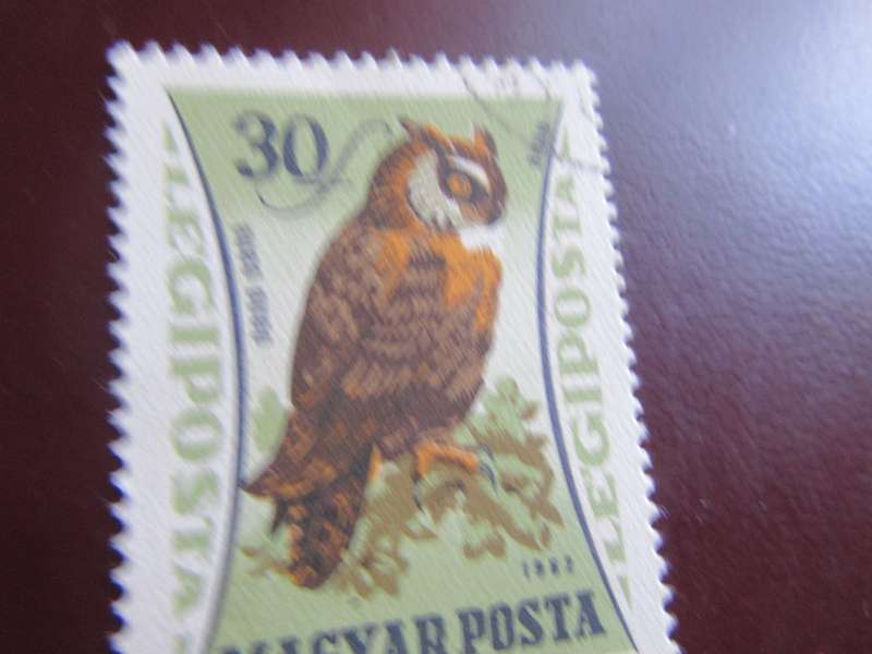 HUNGARY - BIRDS - P10