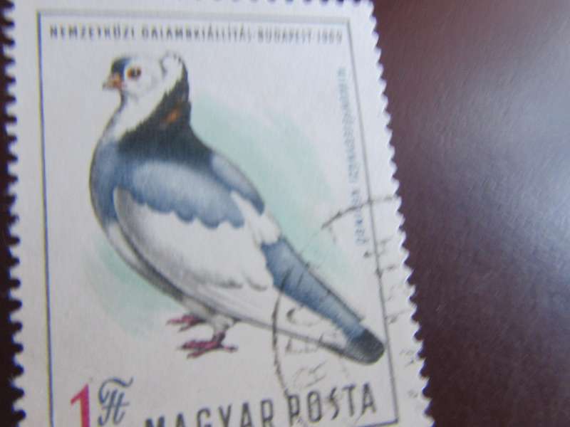 HUNGARY - BIRDS - P10