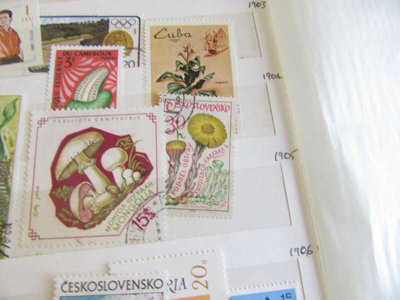 GOOD START FOR THE BEGINNER - NICELOT OF MIXED WORLD STAMPS -AS PER SCAN S2