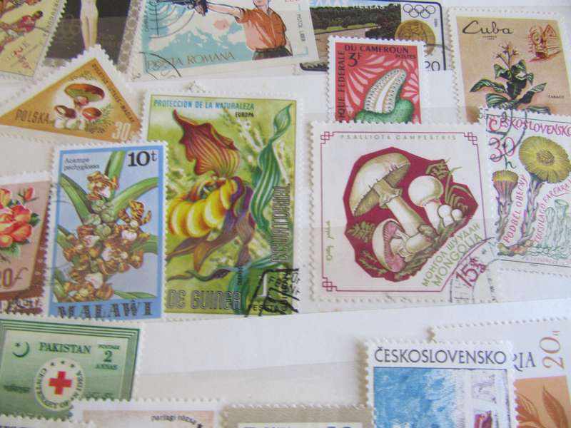 GOOD START FOR THE BEGINNER - NICELOT OF MIXED WORLD STAMPS -AS PER SCAN S2