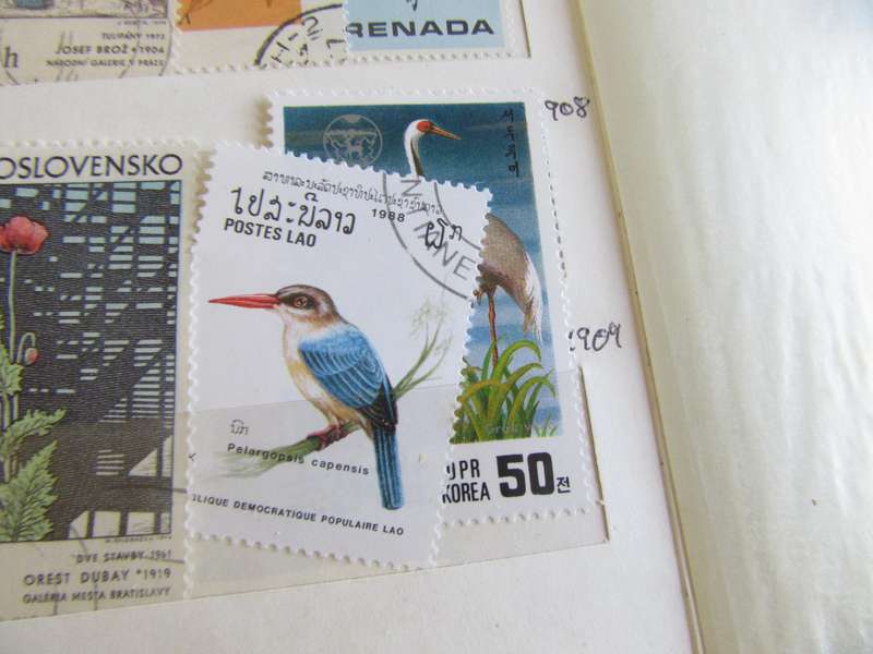 GOOD START FOR THE BEGINNER - NICELOT OF MIXED WORLD STAMPS -AS PER SCAN S2