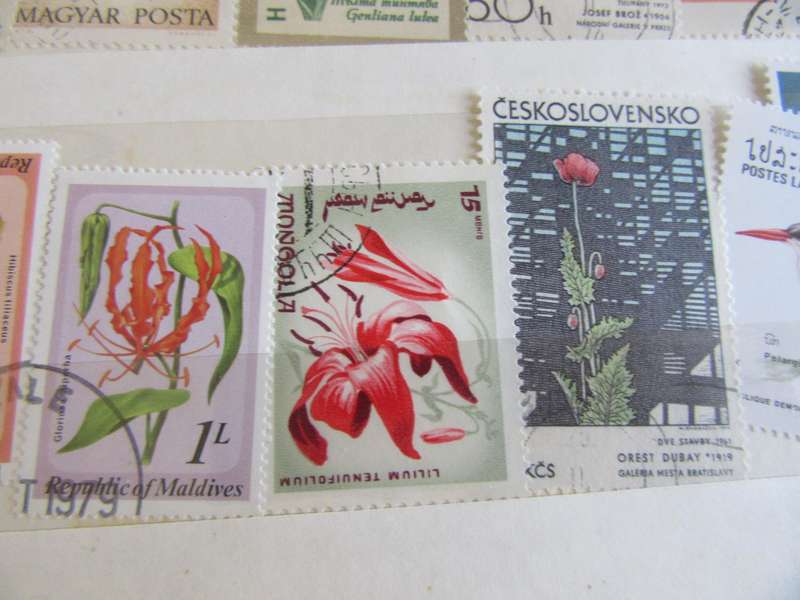 GOOD START FOR THE BEGINNER - NICELOT OF MIXED WORLD STAMPS -AS PER SCAN S2