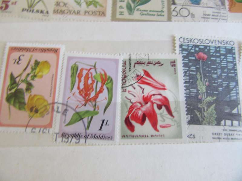 GOOD START FOR THE BEGINNER - NICELOT OF MIXED WORLD STAMPS -AS PER SCAN S2