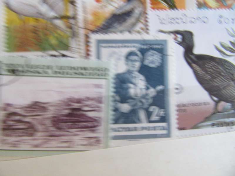 GOOD START FOR THE BEGINNER - NICE LOT OF MIXEDWORLD STAMPS - AS PER SCAN - S5