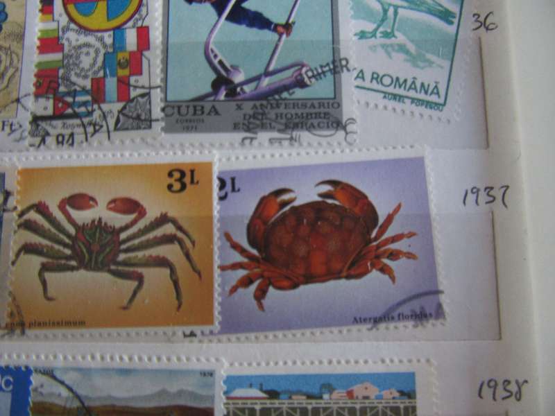 GOODSTART FOR THE BEGINNER - NICE LOT OF MIXED WORLD STAMPS - AS PER SCAN - S6