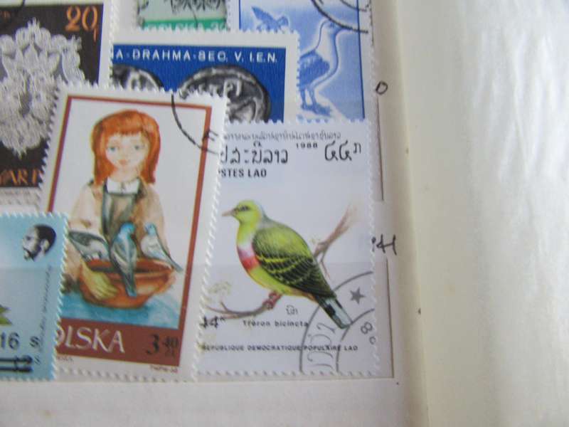 GOODSTART FOR THE BEGINNER - NICE LOT OF MIXED WORLD STAMPS - AS PER SCAN - S6