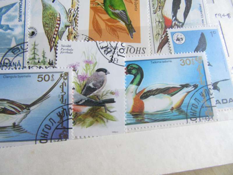 GOOD START FOR THE BEGINNER - NICE LOT OF MIXED WORLD STAMPS - AS PER SCAN - S7