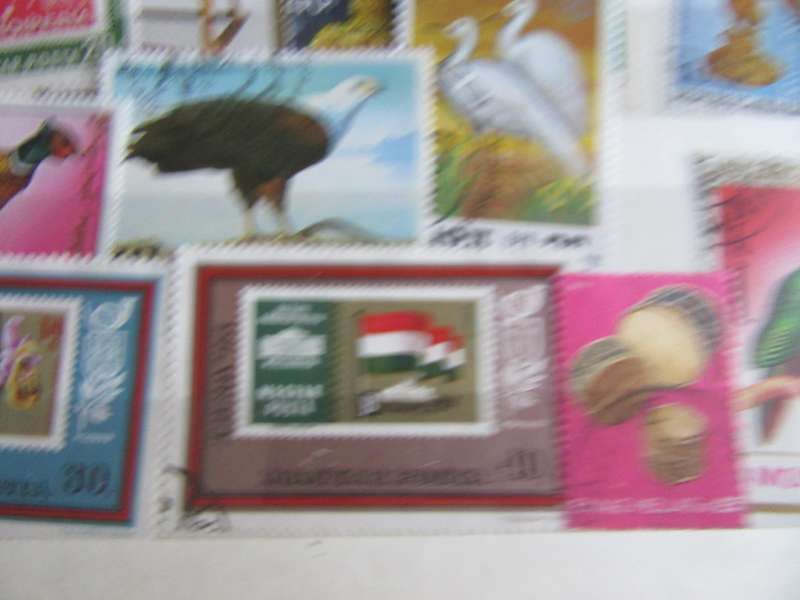GOODSTARTFOR THE BEGINNER - NICELOT OF MIXED WORLD STAMPS - AS PER SCAN - S8