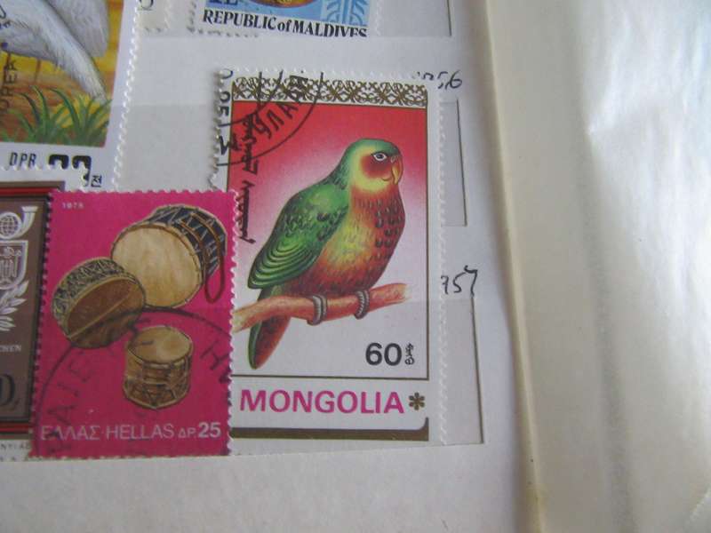 GOODSTARTFOR THE BEGINNER - NICELOT OF MIXED WORLD STAMPS - AS PER SCAN - S8