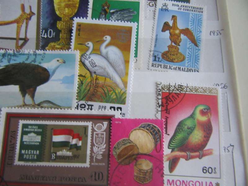 GOODSTARTFOR THE BEGINNER - NICELOT OF MIXED WORLD STAMPS - AS PER SCAN - S8