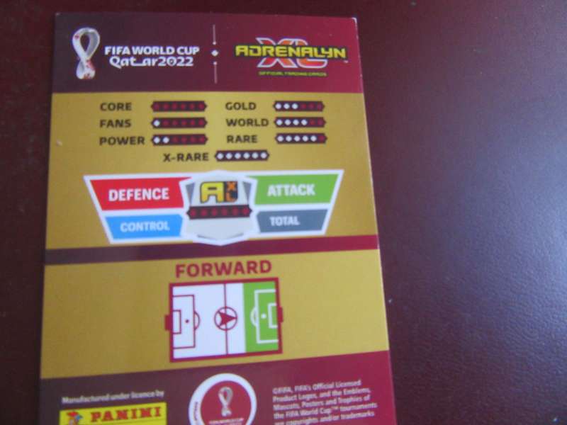 QATAR 2022 - RONALDO - POR - S1