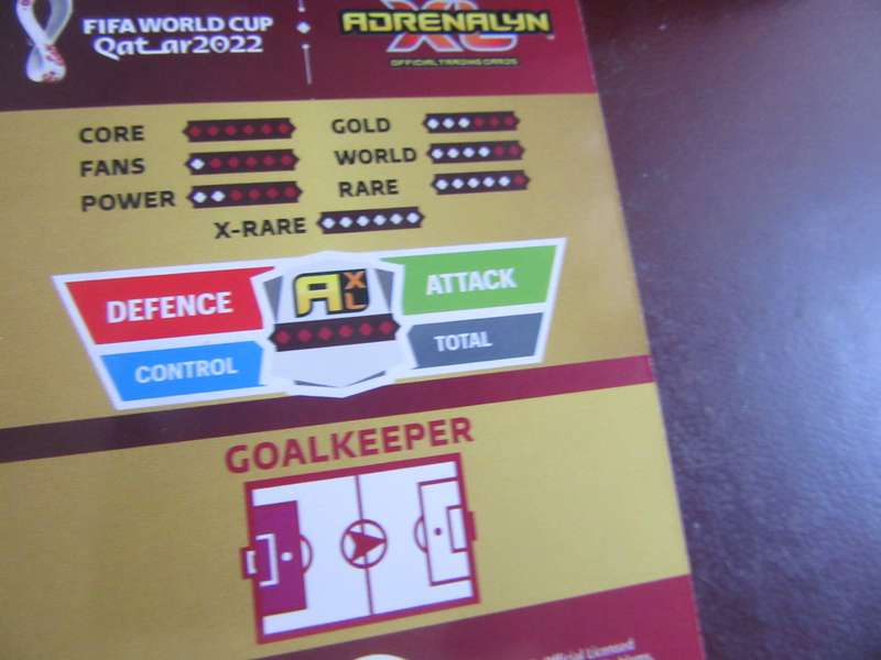 QATAR 2022 -MILANBORJAN - CAN - S1