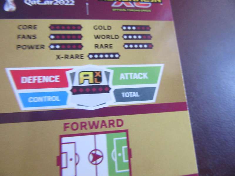 QATAR 2022 -MEHCI TAREMED -IRN - S1
