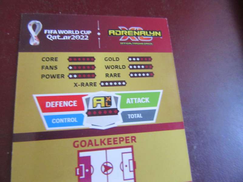 QATAR 2022 -WOJCIECH SZSXESNY - POL - S1