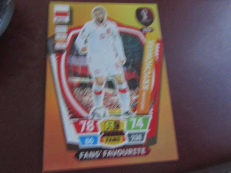 QATAR 2022 - FANS' FAVOURITE - GREZGORZ KRYCHOWIAK POL - S2