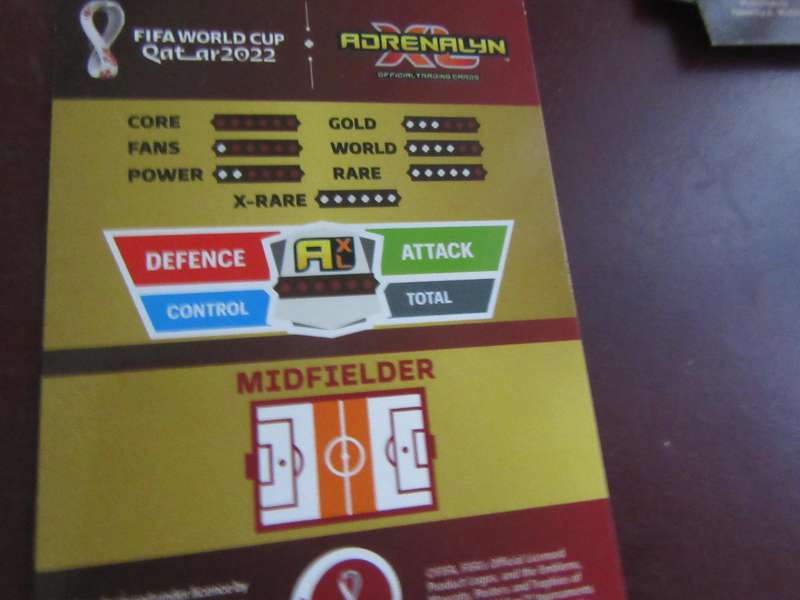QATAR 2022 - FANS' FAVOURITE - GREZGORZ KRYCHOWIAK POL - S2