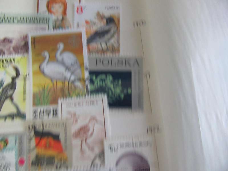 GOOD START FOR THE THEMATIC COLLECTOR - 40 WORLD STAMPS - AS PER SCAN -  - P8
