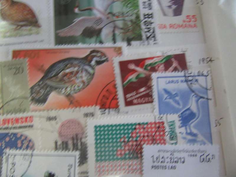 GOOD START FOR THE THEMATIC COLLECTOR - 40 WORLD STAMPS - AS PER SCAN -  - P8
