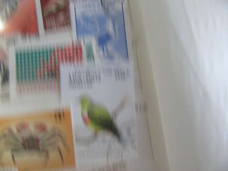 GOOD START FOR THE THEMATIC COLLECTOR - 40 WORLD STAMPS - AS PER SCAN -  - P8