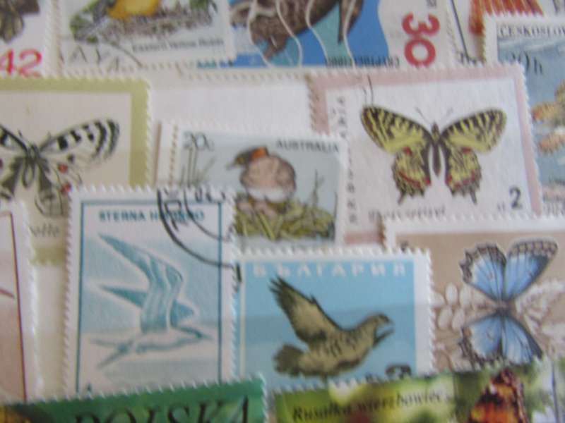 GOOD START FOR THE THEMATIC COLLECTOR - 40 WORLD STAMPS - AS PER SCAN -  - P1A