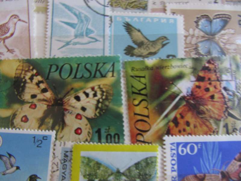 GOOD START FOR THE THEMATIC COLLECTOR - 40 WORLD STAMPS - AS PER SCAN -  - P1A