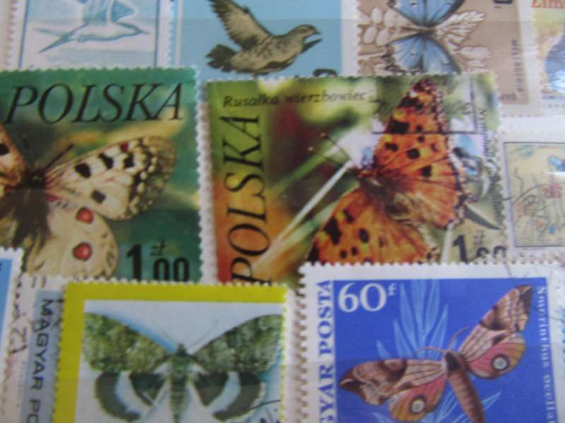 GOOD START FOR THE THEMATIC COLLECTOR - 40 WORLD STAMPS - AS PER SCAN -  - P1A